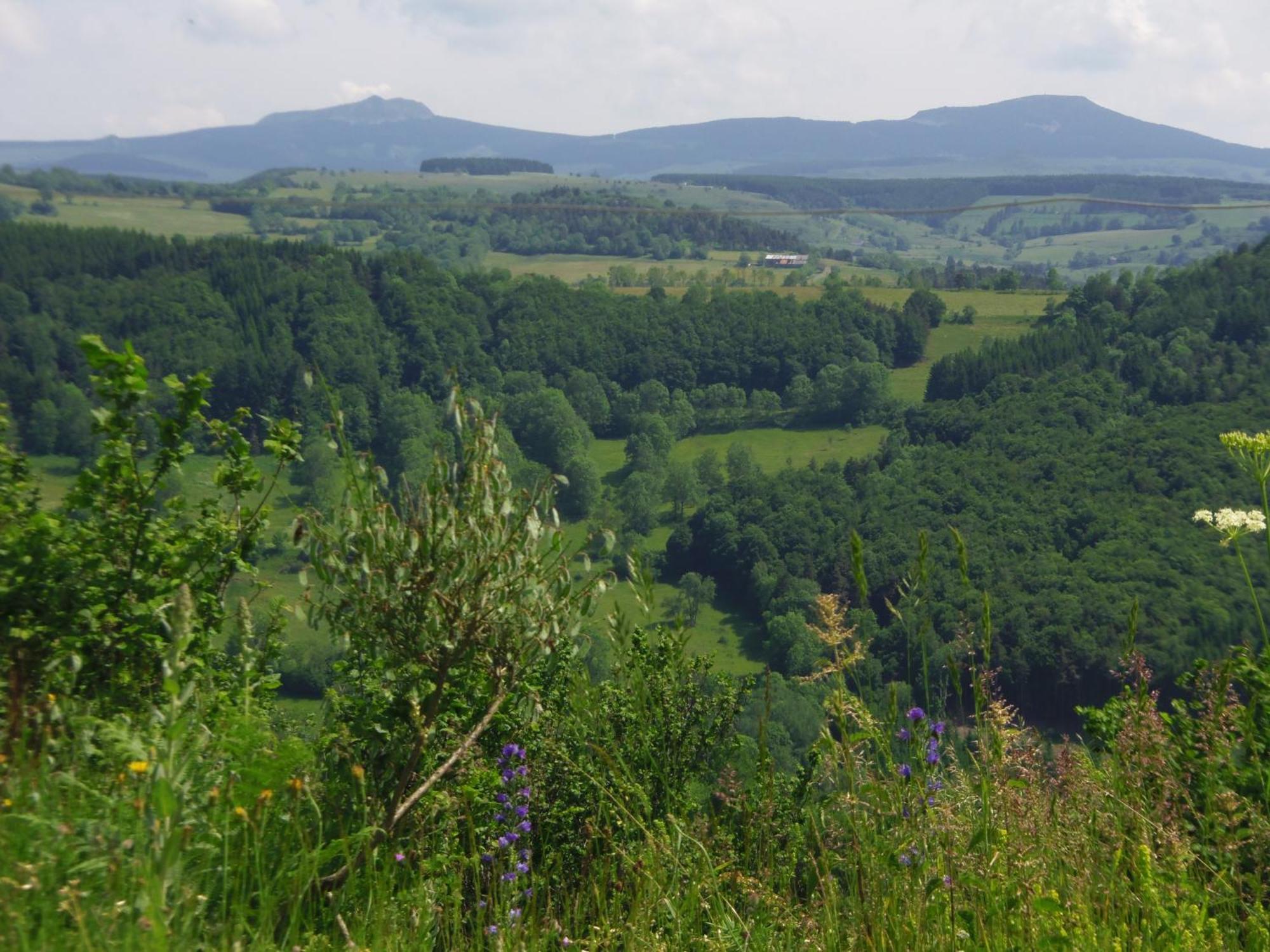 Espace Nature Sabatoux Montusclat Rum bild
